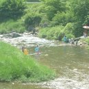 기차길옆민박 이미지