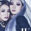 더블유씨엘