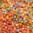 (주)이꼬르 | 1월 이라는 2026년