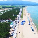 병곡면사무소 | ●●텐트 148동에 주차는 1,500대 전부 공짜, 8km 백사장 품은 여름 야영지 영덕 덕천해수욕장 ●●