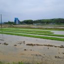 산대목장 이미지