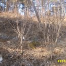 장씨농장 이미지