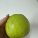초록프레시 이미지