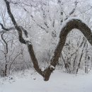 백덕산주유소 이미지