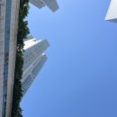 🌞삐로링🌞 이미지