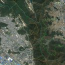 수협 앞 횡단보도 이미지