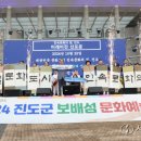 진도군 보배섬 문화예술제 이미지