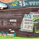 청량산 캠핑장 이미지