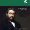 해돈 이미지