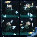 BLue PC방 | 네 곁에서 멀리 나 홀로 깊이 fall in blue