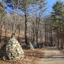 비석마을회 이미지