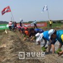 전농17 이미지