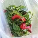 동제농장 이미지