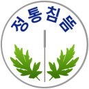 한국정통침구학회