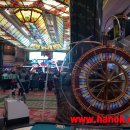 (주)강원랜드수영장 이미지