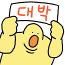 태양비닐봉투