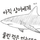 수업에 활용할 만한 책 추천('아직 상어에게 물린 적은 없는데요(백소정)') 이미지