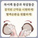 역삼1-139 | 역삼역 한의원 앤한의원 – 목담·어깨통증, 추나와 약침으로 시원한 케어