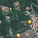 불국사관광안내소 | 경주 불국사 겹벚꽃 애견동반 실시간 후기