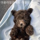 야옹아멍멍해봐(주월점) 이미지