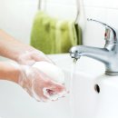 피네테스 이미지