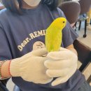 앵무새카페 이미지