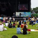 말보루 이발관 | jisan vally rock festival 후기