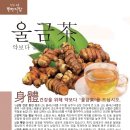 1114 울금차/고흥독일마을조성지질조사/꾸지뽕 이미지