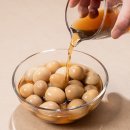 대한메추리 이미지