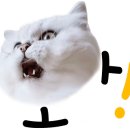 허구한날 이미지