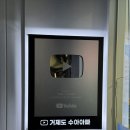 거제선어횟집 | 부산여행 필수코스 해운대맛집 수아아빠24시회마트 해운대 회포장 전문점 감성돔 고등어회 강추 후기