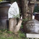 푸른농원식당 이미지