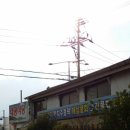 태광식당 이미지