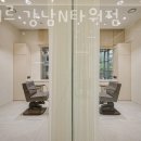 아데르 강남엔(N)타워점