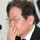“정신 차려라”… 李 향해 쏟아진 목소리 이미지