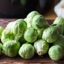 바디짐휘트니스 이미지