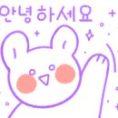 노키(NOKI)