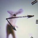 포도뮤지엄 이미지