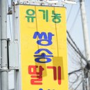 향교농장 Daum카페