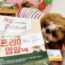오케이펫미트 이미지