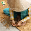 코이어(coir)