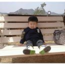 돼지문화원정원 Daum카페