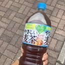신마피아떡볶이 | 오이타에서(17)-오이타 오이데오이데~~