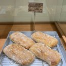 령은 | [대구 동구 베이커리] 동촌역 무화과빵 맛있는 곳 그리고 바게뜨맛집 브레드,령