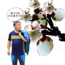 함께 아리랑 이미지