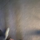 칠곡큰정할매순대국