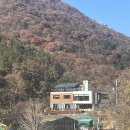 김해 대동 힐링하기 좋은 녹차밭뷰 반려동물 동반가능 차카페 장군차 산들농원