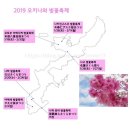 탑하나여행사