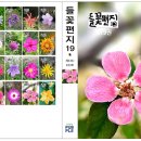 들꽃편지