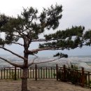 용정 이미지